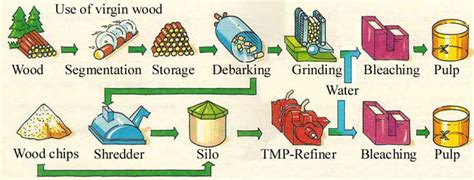 Wood Pulp Market Analytic | Paper And Pulp Industry