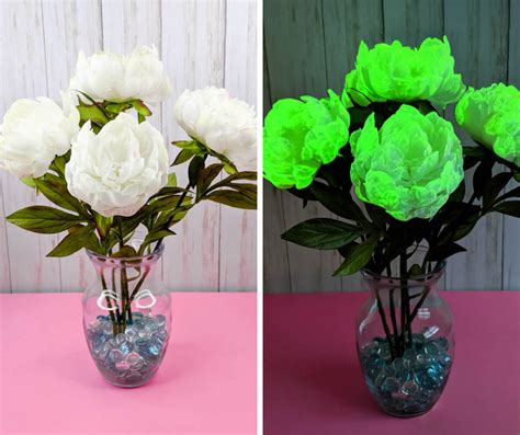 How to Make Glow in the Dark Flowers - Jennie Masterson