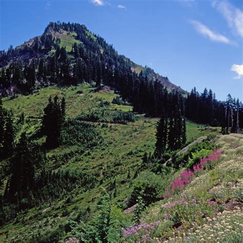 Chinook Pass Overlook Trailhead | Natural Atlas