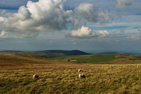 Preseli Hills | Historical landscape, Secret places, Stonehenge