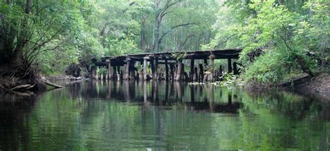 Withlacoochee River Watershed Initiative | WaterMatters.org