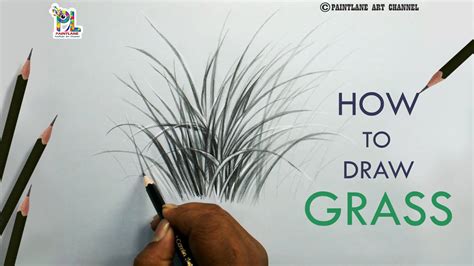 Grass Drawing Pencil