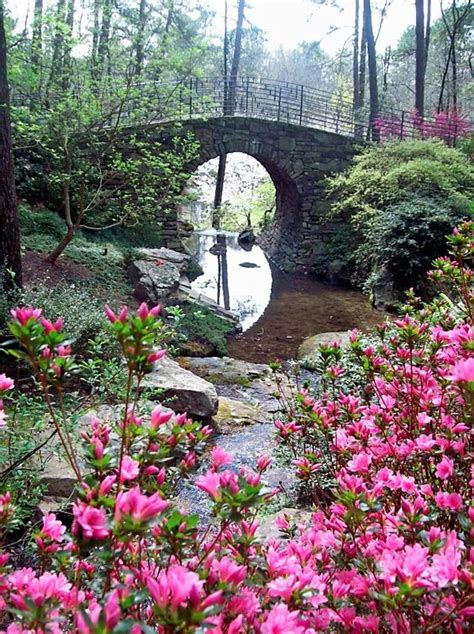 Garvan Woodland Gardens, Hot Springs, Arkansas | Arboretums, Botanical ...