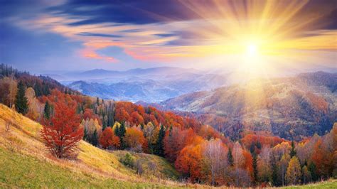 Free Images : landscape, nature, light, sky, sunrise, meadow, sunlight ...