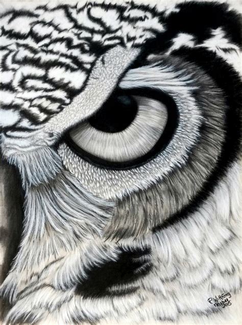 Owl Eyes Drawing