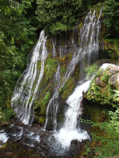 Panther Creek Falls — Washington Trails Association