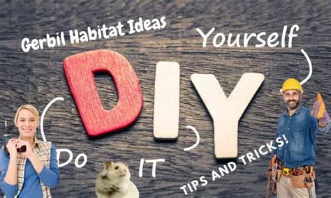 DIY Gerbil Habitat Ideas: Build a Custom Home for Your Furry Friend - 2024