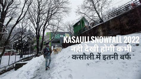 Kasauli Snowfall Feb 2022 नही देखी होगी कसौली में इतनी बर्फ #kasauli # ...