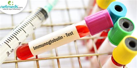 immunoglobulins blood test