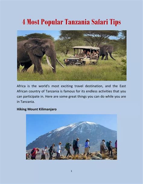 PPT - 4 Most Popular Tanzania Safari Tips PowerPoint Presentation, free ...