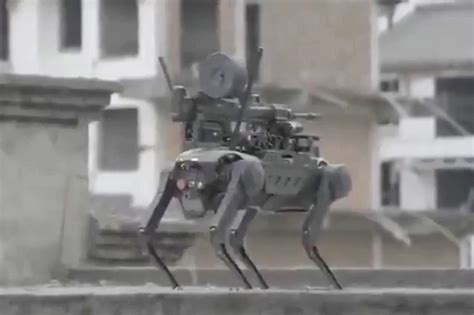 Terrifying video shows Chinese robot attack dog with machine gun ...