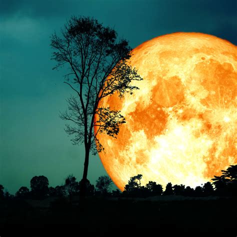 The Harvest Moon Is Christian | Catholic Answers Magazine