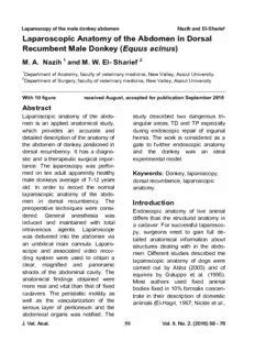 Download Laparoscopic Anatomy of the Abdomen in Dorsal Recumbent Male ...