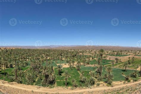 Morocco Desert Green Vegetation Scenery 20646533 Stock Photo at Vecteezy