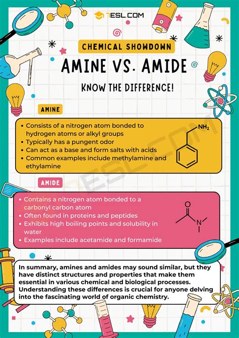 Amine vs. Amide: Confusing Chemistry Terms • 7ESL