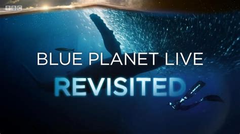 Blue Planet Revisited (2020)