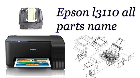 Epson Printer All Parts Name | Reviewmotors.co