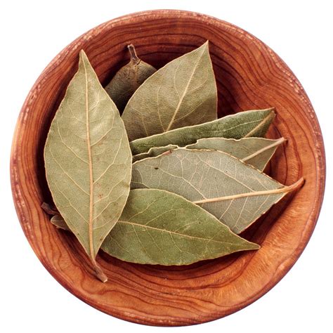 Bay Leaf, 1 Kg at Rs 100/kilogram in Vadodara | ID: 14098229673