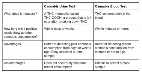 What Do You Know About Cannabis Drug Testing? | reepher Cannabis DUI ...