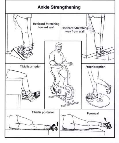 ankle sprain proprioception exercises pdf - Celine Adam