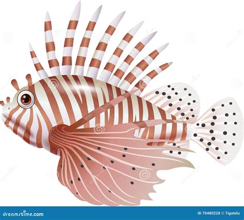 Firefish Clipart And Illustrations