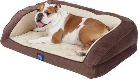 SERTA Quilted Orthopedic Bolster Dog Bed w/Removable Cover, Mocha ...