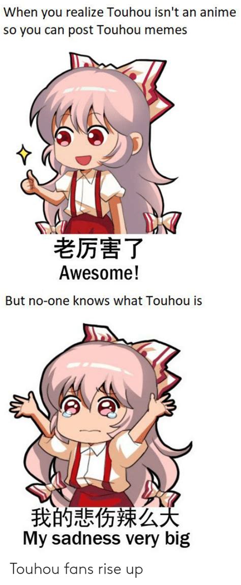 The best Touhou memes :) Memedroid