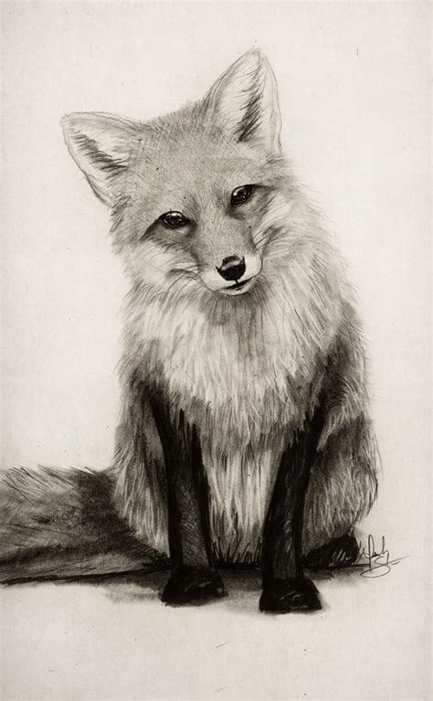 Fox Pencil Drawing at GetDrawings | Free download