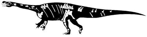 Aardonyx Pictures & Facts - The Dinosaur Database