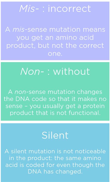 Missense Mutation — Definition & Examples - Expii