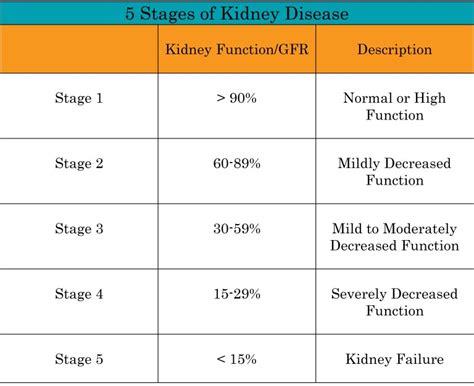 Understanding Kidney Disease – NephCure Kidney International ® | End ...