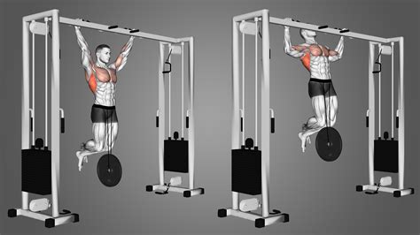 Weighted Pull Up: Benefits, Muscles Worked, and More - Inspire US