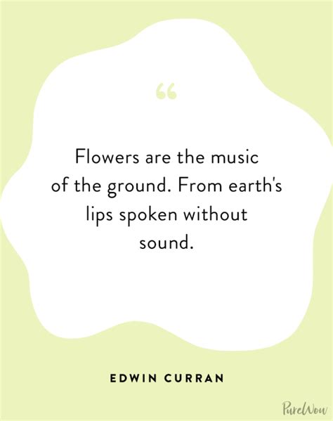 80 Spring Quotes to Celebrate the Season in 2024 - PureWow