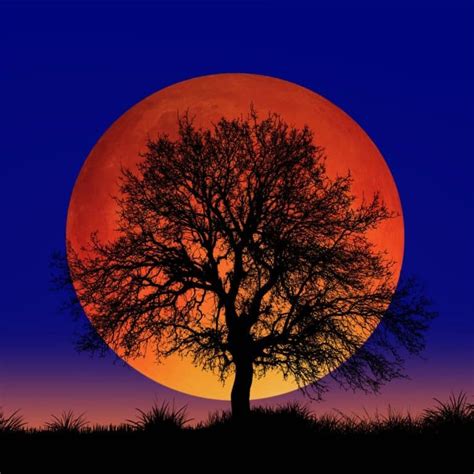 Blood Moon Spiritual Meaning - What does a Red Moon mean? - Awakening State