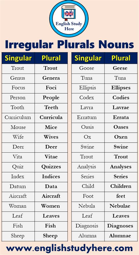 +70 Irregular Plurals Nouns in English - English Study Here