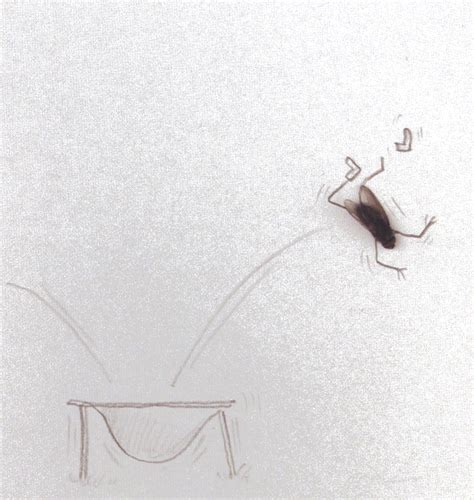 Magnus Muhr. "Bouncing", 2010 Bugs And Insects, Art Forms, Collage Art ...