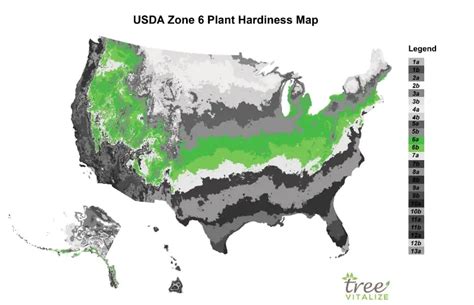 USDA Zone 6: Where is it? What to Plant? Tips to Success