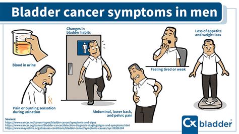 Bladder Cancer Symptoms | Cxbladder