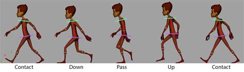 algoMalgo: Animation Study - Walk cycle