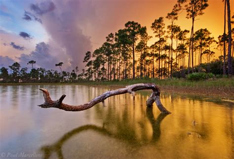 Pine Sunset | Long Pine Key, Everglades National Park, Florida ...