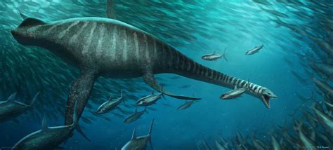 Elasmosaurus by arvalis on DeviantArt