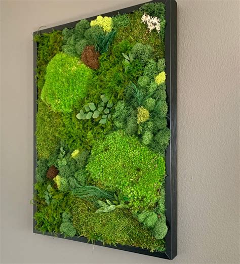 Moss Wall Art Moss Art Work Moss Art Preserved Moss Art | Etsy