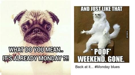 These painfully funny Monday memes are so accurate that it hurts a ...