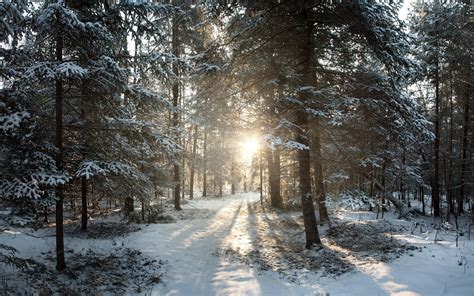 Wisconsin 'Winter Wonderland' by WanderingtheWorld (www.LostManProject ...