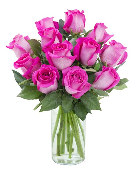 Arabella Farm Direct Bouquet of 12 Fresh Cut Hot Pink Roses with Free ...