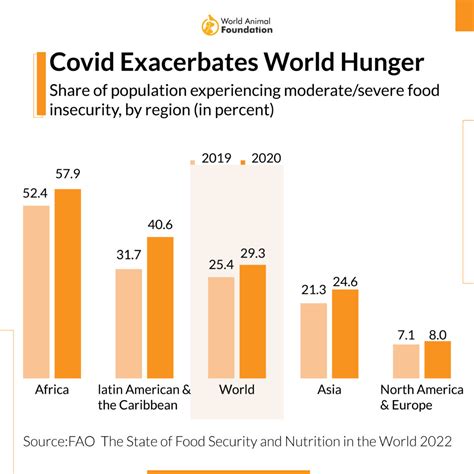 World Hunger Statistics - All You Need To Know!