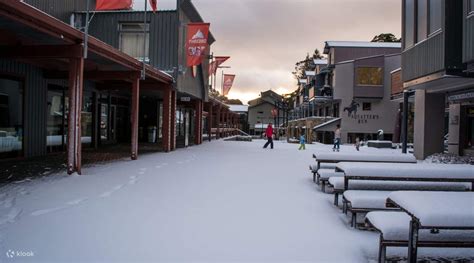 Thredbo Snow Trip with Transfers for Sydney - Klook