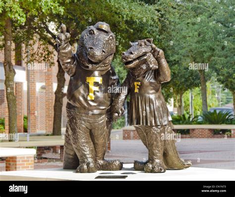 Statues of University of Florida mascots Albert E. Gator and Alberta ...