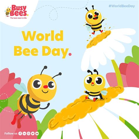 Celebrating World Bee Day on 20 May - Busy Bees