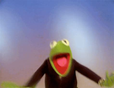 muppets gifs | Tumblr